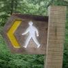 Walking/Hiking forum