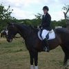 tracey, Gillingham