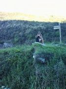 Katie's profile image