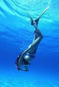 Dive Honey's profile image