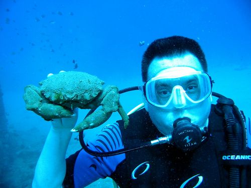 Helen's profile image